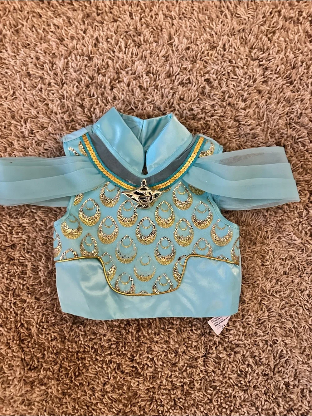 Disney Princess Jasmine Costume from Disneyland